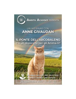 Il ponte dell'arcobaleno - videolezione